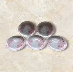 桜模様の皿5枚セット