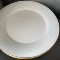 ノリタケ　カラーの花のデザイン 平皿大5枚セット