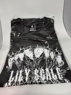 Item thumbnail for item 5fe5de37-7e4c-4c3a-8b82-27369c0891e9