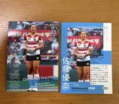 Item thumbnail for item 828372ff-7503-458a-bf76-958db10d24ac