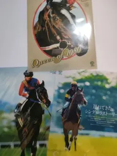 JRAヒーロー列伝クリアファイル ＆ デジタルフォト日本ダービードウデュース JRAヒーロー列伝クリアファイル ＆ デジタルフォト日本ダービードウ