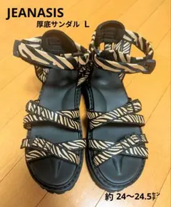 JEANASIS ゼブラ柄 厚底サンダルのサムネイル