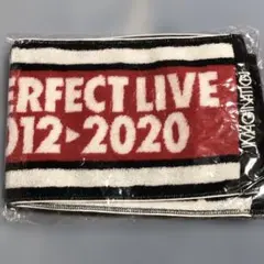 GENERATIONS PERFECT LIVE マフラータオル　新品、未使用品