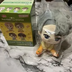 一番くじ petiTEEN from SEVENTEEN ぬいぐるみ ウォヌ