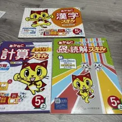 ５年　漢字ドリル　計算ドリル　解読スキル　あかねこのサムネイル