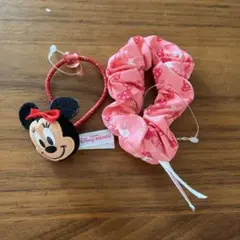 東京ディズニーリゾート ミニー ヘアゴム シュシュ セット