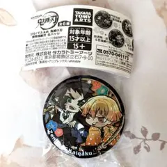 2026年最新】我妻善逸 缶バッジの人気アイテム - メルカリ
