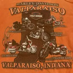 Harley-Davidson Tシャツ 2005アメリカ製XL