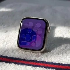 極美品/充電器付 Apple Watch Series9 41mm GPS