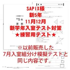 2025年最新】sapix 入室テスト 新2年の人気アイテム - メルカリ