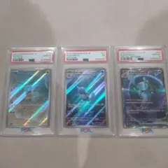 2025年最新】ゼニガメ ar カメールの人気アイテム - メルカリ