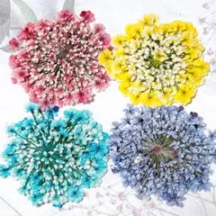押し花素材＊レースフラワー　大サイズ5