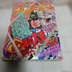 希少】週刊少年サンデー 創刊1500号 1989年11月6日 高橋瑠美子 - メルカリ