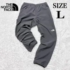 ノースフェイス エイペックスサーマルパンツ 裏起毛 NB81804 グレー L