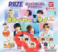 RIIZE ぷっくりめじるしアクセサリー　ガチャ　ソンチャン