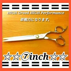 Item thumbnail for item ffcb9f7f-4947-48ef-a9d2-f93c1c4be7b4