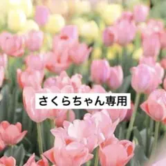 さくらちゃん専用（S）