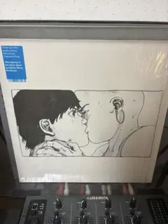 Nathan Micay 『Blue Spring』 LP レコード