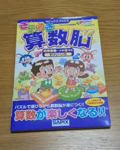 サピックス SAPIX最新小学6年生2025年度 一年分フルセット欠け番なし サピックス SAPIX最新小学6年生2025年度 一年分フルセット欠け番なし