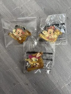 ディズニーピンバッジ ミッキーミニーデイジー