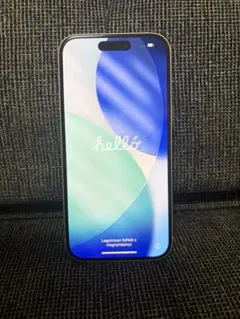 Apple iPhone15 256G 箱あり