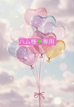 ☆ハム様専用☆