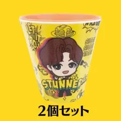 BTS タイニータン メラミンカップ V テテ テヒョン 2点セット 公式 廃盤