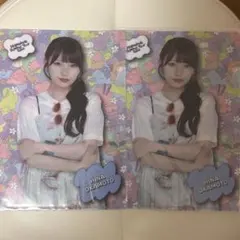 乃木坂46　岡本姫奈　A5クリアファイル　真夏の全国ツアー2026 2枚