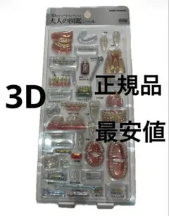【正規品】大人の図鑑シール　3Dビジュアルコレクション　歯編