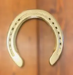 【幸運の金の蹄鉄】