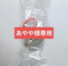 [あやや様専用]