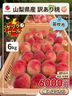 山梨県産 訳あり桃 6㎏！ - メルカリ