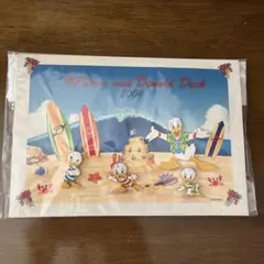 ドナルドダック ピンバッジセット 2004年