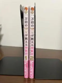一万倍の聖女が教える聖教育 2