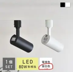 スポットライト　ブラック