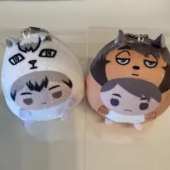 【匿名配送】ハイキュー　てのりんず　北　治