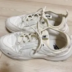 Item thumbnail for item bac190b5-e2a4-4616-889e-5259cbbfef00