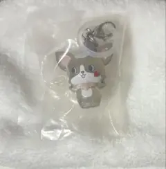 JOCHUM めじるしアクセサリー チュララ