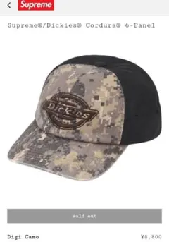 Supreme / Dickies Cordura 6-Panel (デジカモ)