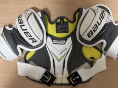 Item thumbnail for item 2f48f059-1685-449b-ad58-c6670d5c687b