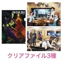 エヴァ エヴァンゲリオン中国限定KAYOUトレカカードSSR、Rシンジ