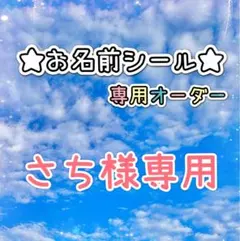 ＊＊＊さち様専用＊＊＊