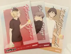 ハイキュー!! アニメイト特典 ポストカード 孤爪研磨 宮治 山口忠