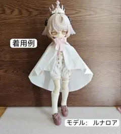 カスタムドール お人形遊び