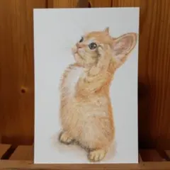 Item thumbnail for item 5a847493-355e-498e-8010-474e3edcf654