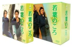 若葉のころ DVD KinKi Kids 堂本光一 堂本剛 DOMOTO - メルカリ