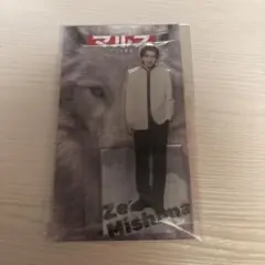 【新品未開封】道枝駿佑　マルス　アクスタ　なにわ男子