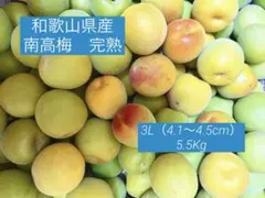 和歌山県紀南産 完熟南高梅5㎏ 秀品 3L〜4L - メルカリ