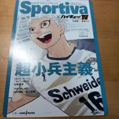 Sportiva × ハイキュー!! 　星海光来　ビジュアルボード