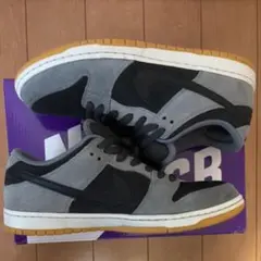 ナイキ SB ダンク ロー プロ 